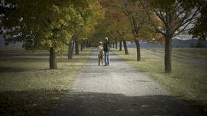 A nice, soft vignette added.